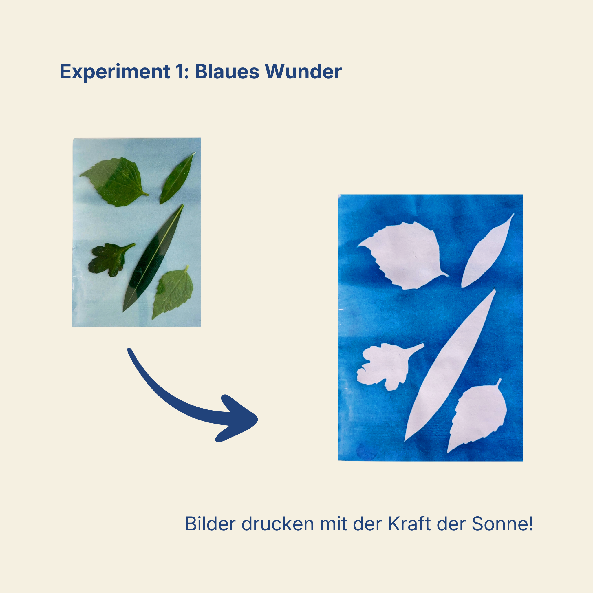 Glühlis Sommerbox