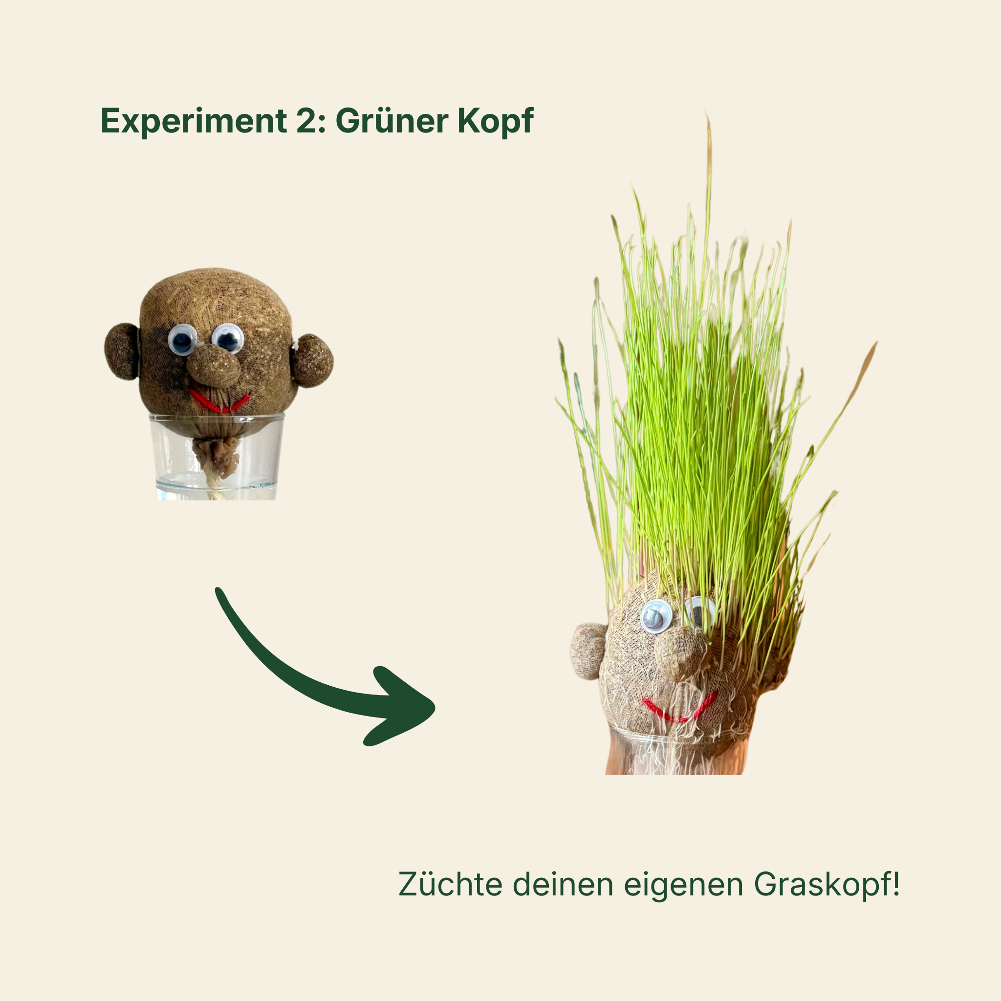 Glühlis Sommerbox